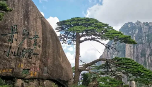 首旅如家(酒店预订服务) 首旅如家(酒店预订服务)