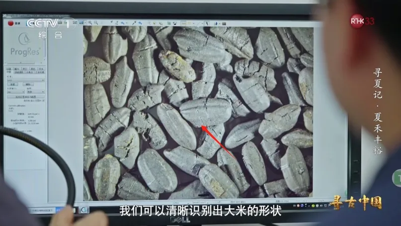 电视直播(电视直播) 电视直播(电视直播)