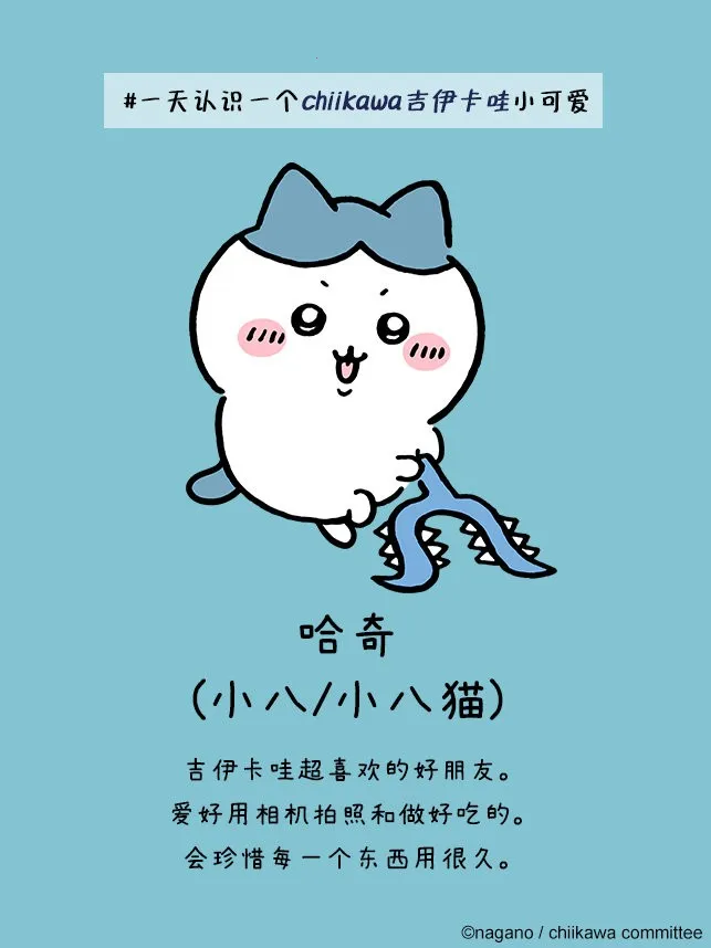 口袋吉伊卡哇国际服(养成手游玩法) 口袋吉伊卡哇国际服(养成手游玩法)