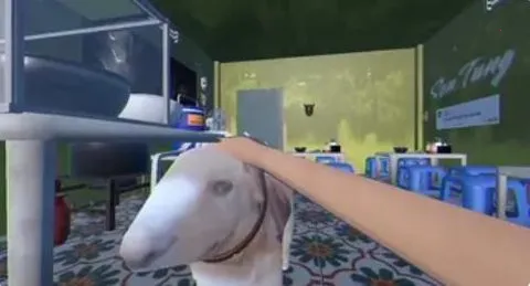 ֵܵĺӷ۲2025°汾v1.0.1 ֻͼ3