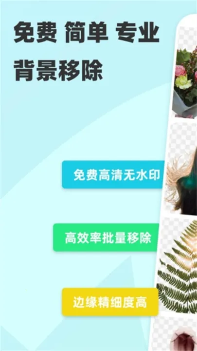 椰子背景修图2025最新版本 椰子背景修图2025最新版本