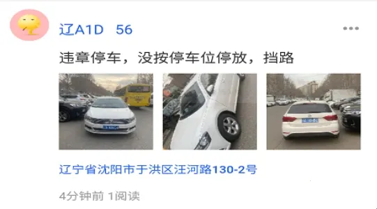 �����ľٱ�2025�ٷ�����