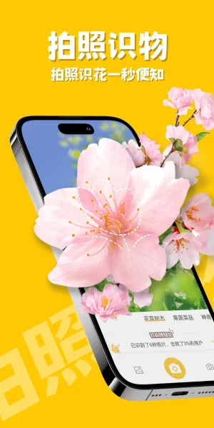 ��ţ����ʶ�������ֻ���v1.1.5 �ֻ����ͼ2