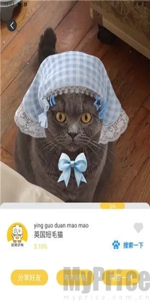 ��ţ����ʶ�������ֻ���