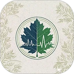 �ݴ��ƽ���2025���ذ�װ