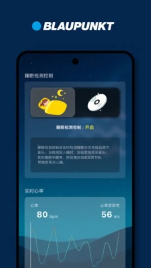 BLAUPUNKT(��Ч��������)v1.1.30 �ֻ����ͼ0