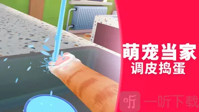 �����״�ð��(è��ð����Ϸ)