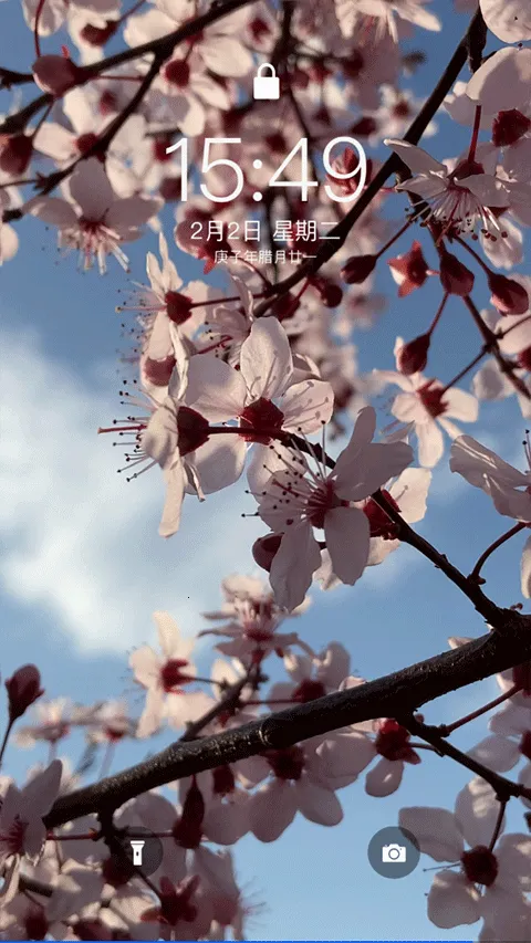 主题库最新手机版 主题库最新手机版