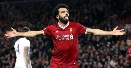 ʵ������2025�ٷ�����