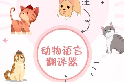 �������Է�����(�������Է���)