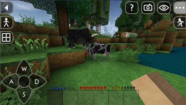 �ҵ���������ս�������ֻ���