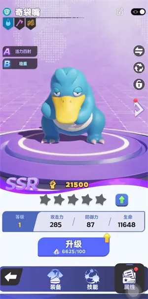 ����������2025���°汾