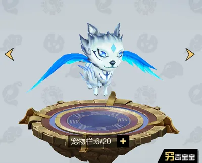 ����֮·2025�ٷ�����