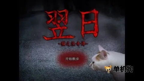 ����è֮����̷2025���°汾v1.0 �ֻ����ͼ2