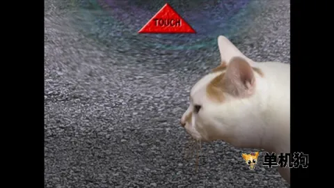 ����è֮����̷2025���°汾