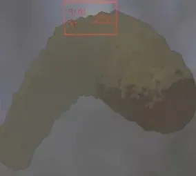 ������˾2025�ٷ�����