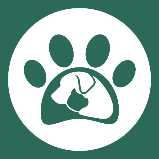 ����E���(�����������)