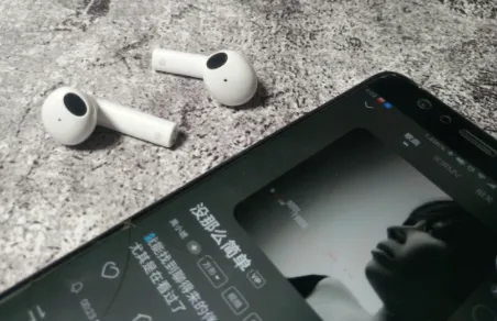 ��������(������������)