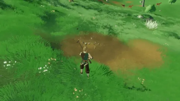 ������2025�ٷ����°汾