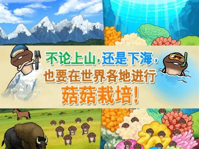 ���������о���(����������Ϸ)