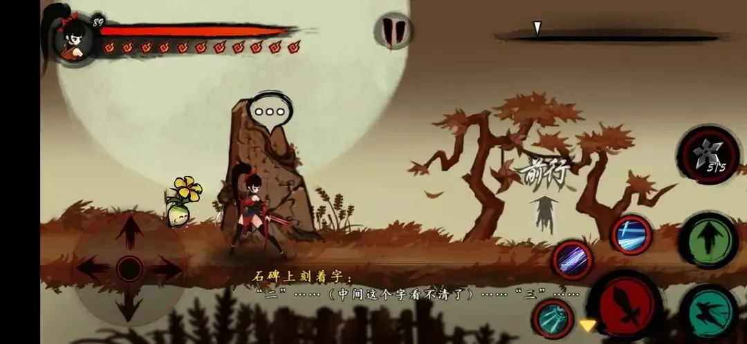 ����(������������)