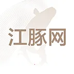 ������2025���°汾