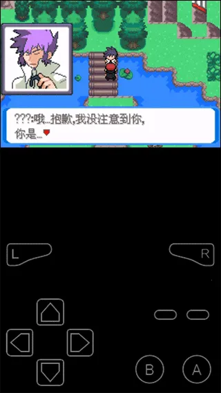 �ڴ����־���(����������Ϸ)