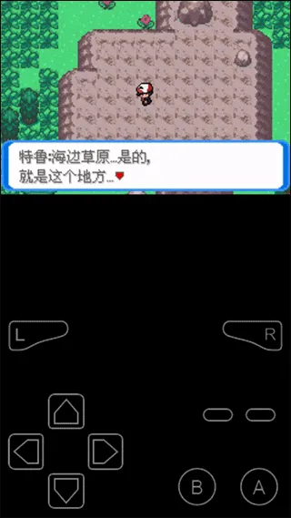 �ڴ����־���(����������Ϸ)