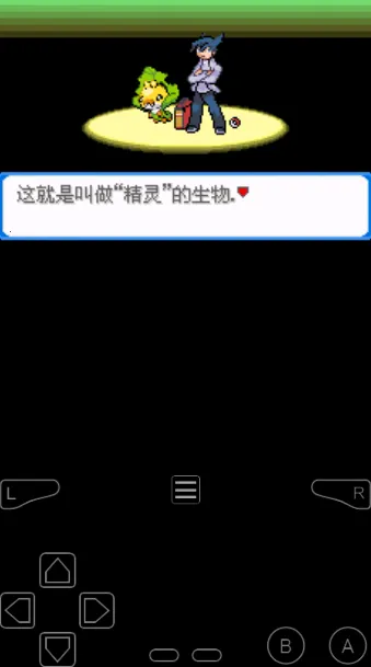 �ڴ����־���(����������Ϸ)