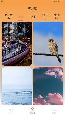 图标壁纸秀2025官方最新版本 图标壁纸秀2025官方最新版本