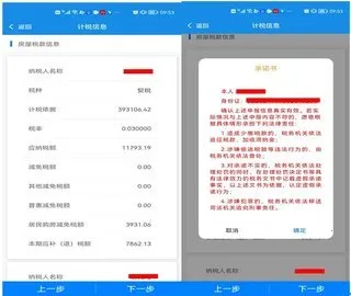 ����˰��2025���°汾