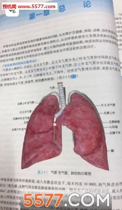 ����ͼ����ֵ2025�ٷ����°汾