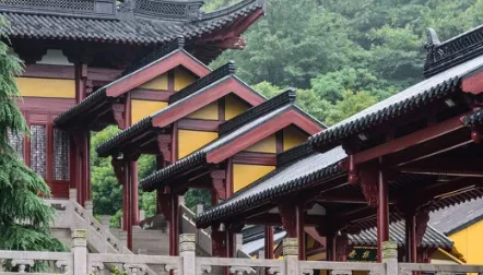 ����������׿���ֻ���