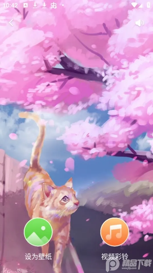 �����ֽ2025�ٷ�����