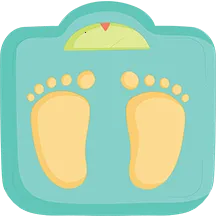 ��֬ʳ��(����ʳ������)