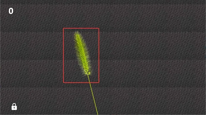 ��è���(è�以����Ϸ)