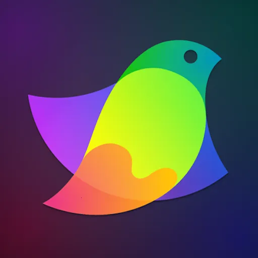 Pocket�滭��ʦ2025���ذ�װ