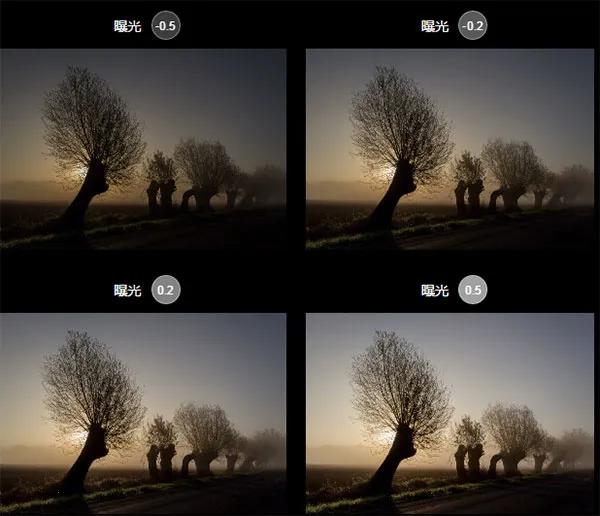 ������ͼ(ͼ����ͼ����)