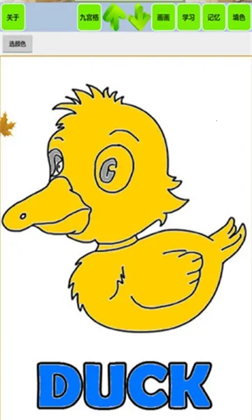 ����ʶ������������2025�ٷ�����