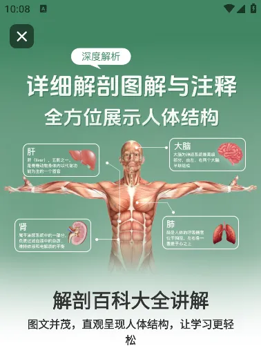 ����ģ��Body��׿���ֻ���