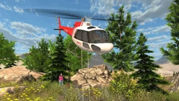 ֱ���ɻ����������ֻ���