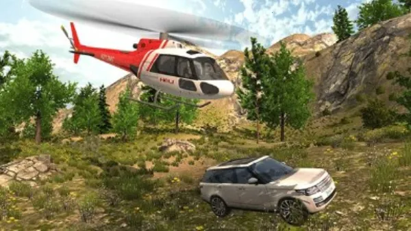 ֱ���ɻ����������ֻ���