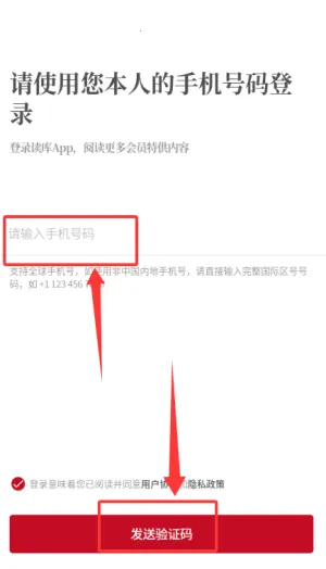 ����2025���°汾