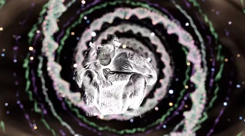 从细胞到奇点进化永无止境(生物进化模拟游戏) 从细胞到奇点进化永无止境(生物进化模拟游戏)