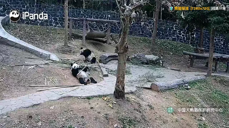 ����Ӱ�Ӳ�2026�ٷ����°汾