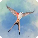 չ�᰿��2026���ذ�װ