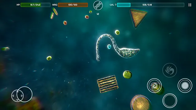 ����ģ����2026���ذ�װ