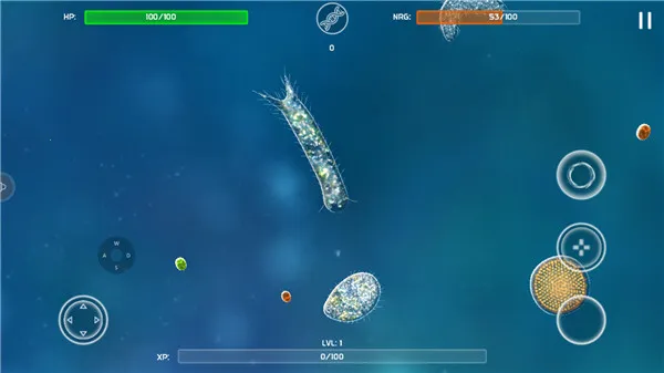 ����ģ����2026���ذ�װ