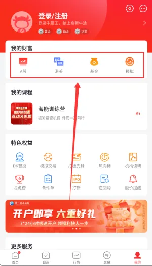 牛股王股票 牛股王股票