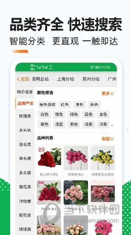 ���ױ�2026���°汾